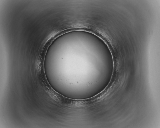 X0000116381163200912091409