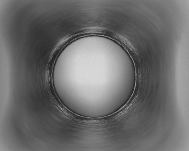 X0000116381164200912091409