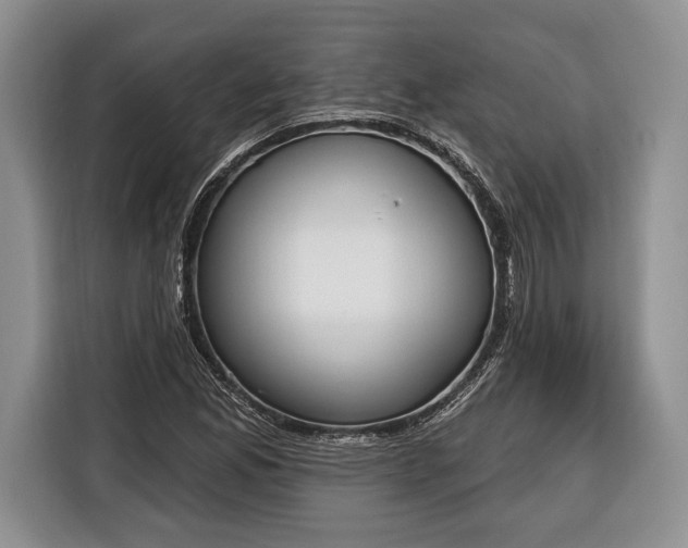 X0000116381165200912091409
