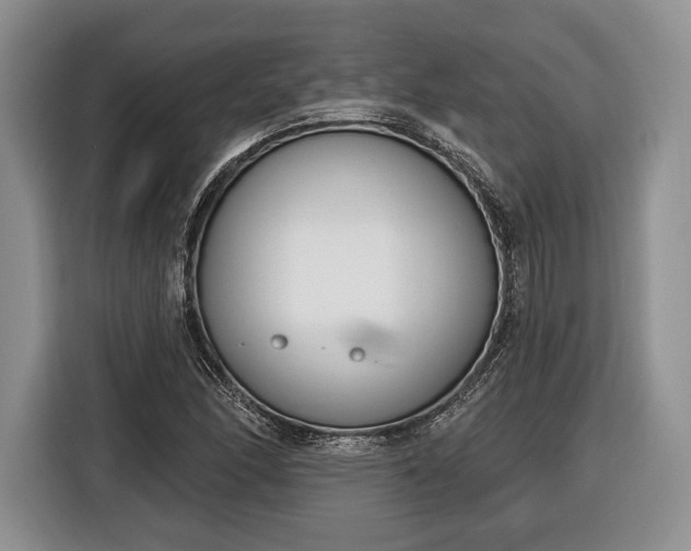 X0000116381166200912091409