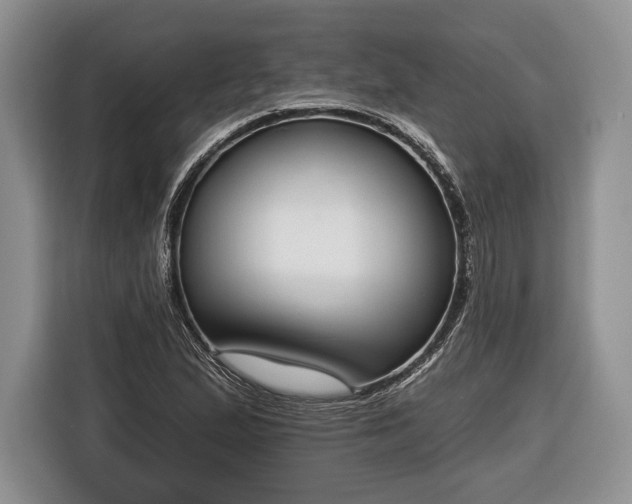 X0000116381167200912091409