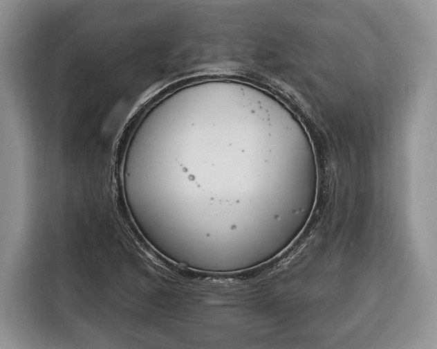 X0000116381168200912091409