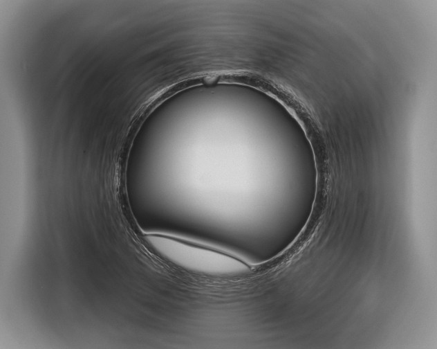 X0000116381169200912091409