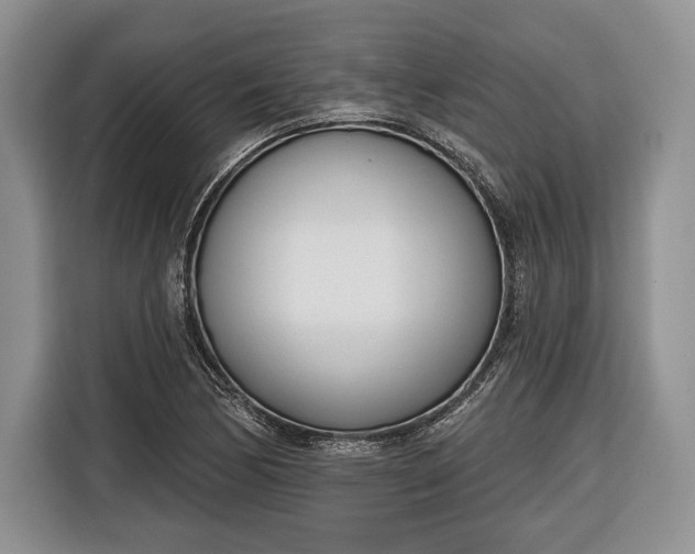 X0000116381170200912091409