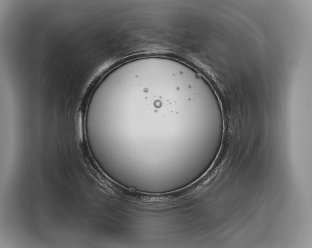 X0000116381171200912091408