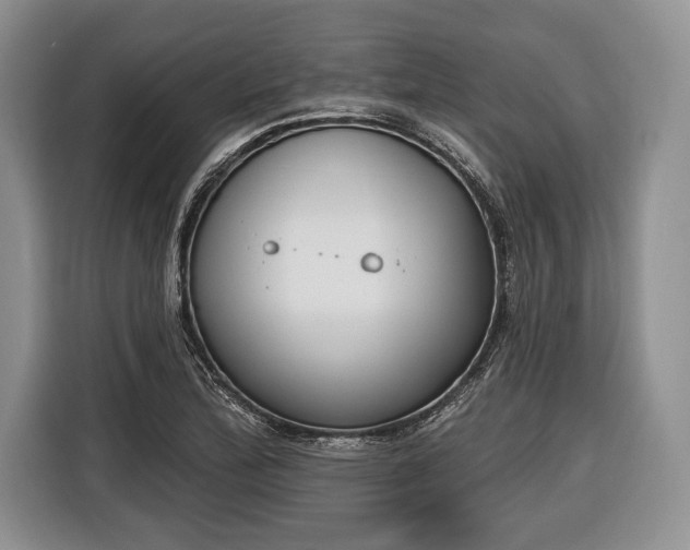 X0000116381172200912091408