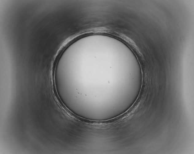 X0000116381176200912091408