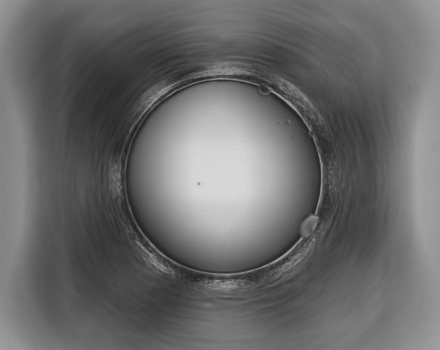 X0000116381177200912091408