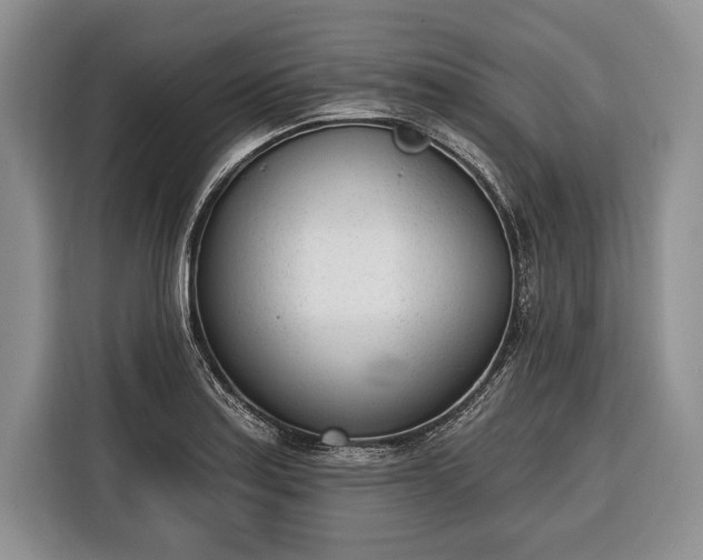 X0000116381179200912091408