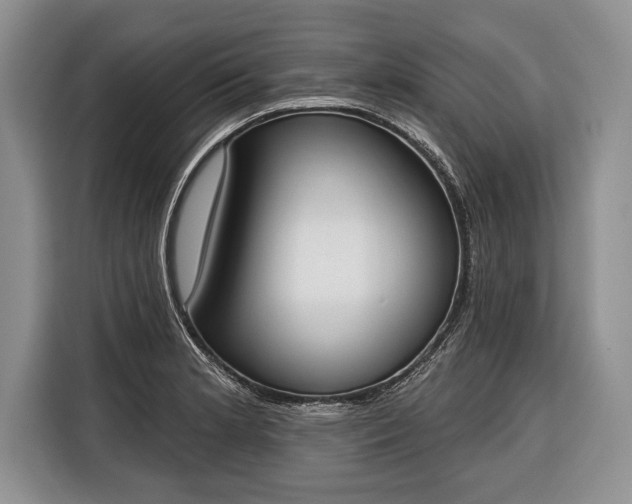X0000116381181200912091408