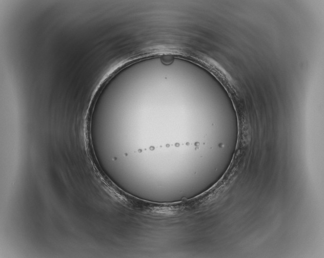 X0000116381182200912091408