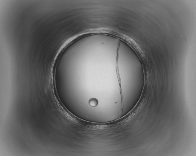 X0000116381184200912091408