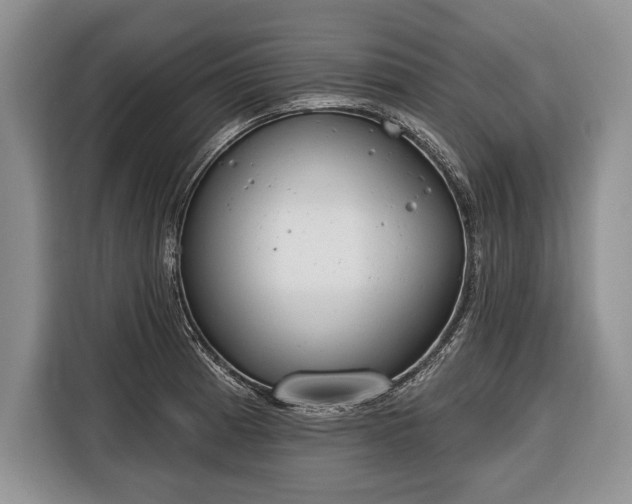 X0000116381185200912091408
