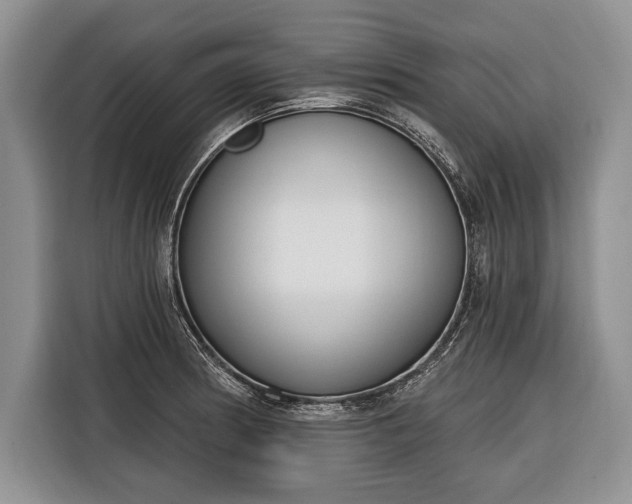 X0000116381186200912091408