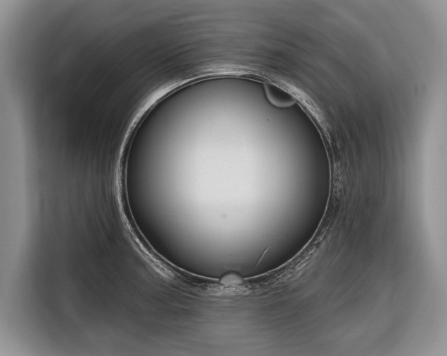 X0000116381187200912091408