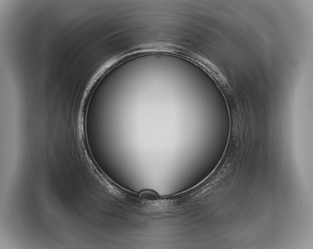 X0000116381188200912091408