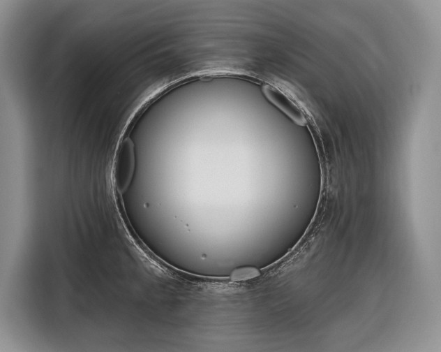 X0000116381189200912091408