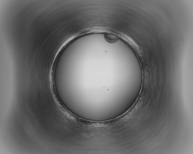 X0000116381190200912091408