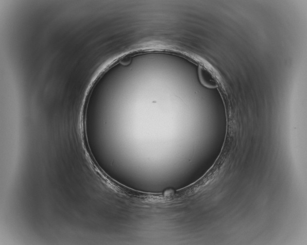 X0000116381191200912091408