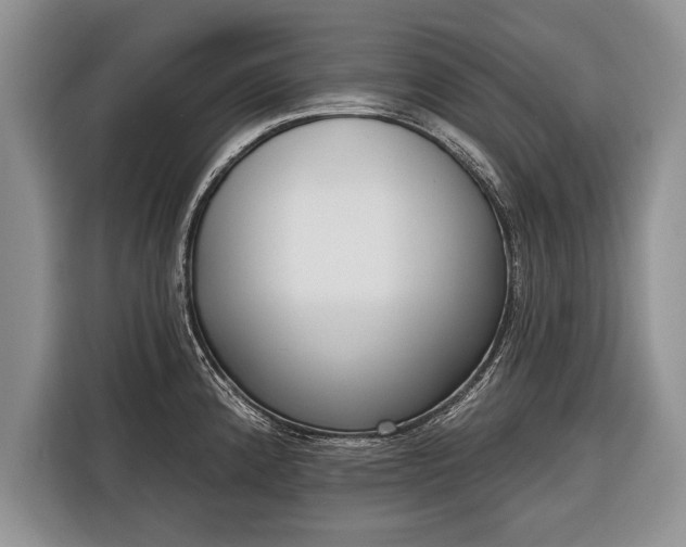 X0000116381192200912091408