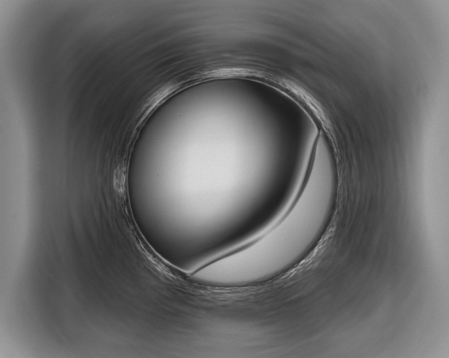 X0000116381193200912091408