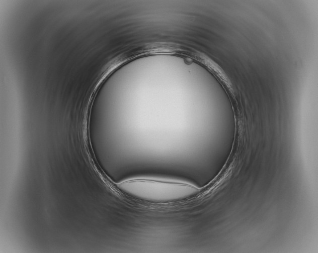 X0000116381194200912091408