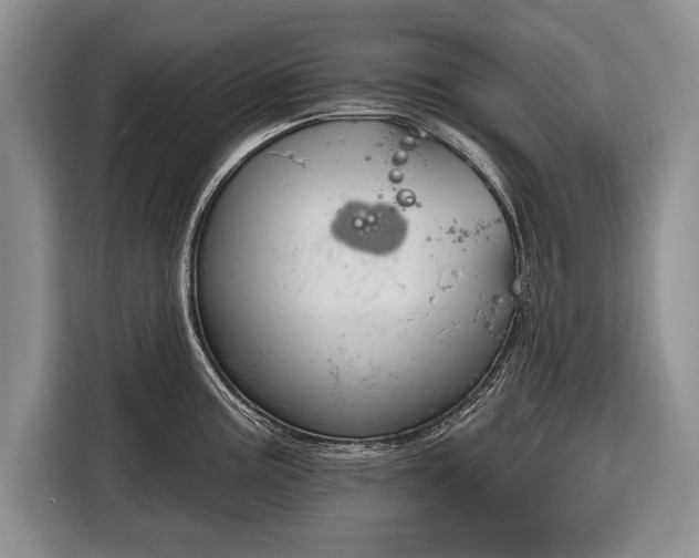 X0000116381195200912091408