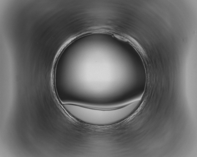 X0000116381196200912091408
