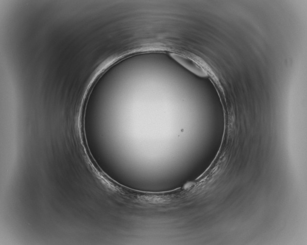 X0000116381197200912091408