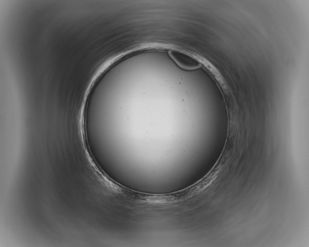 X0000116381199200912091408