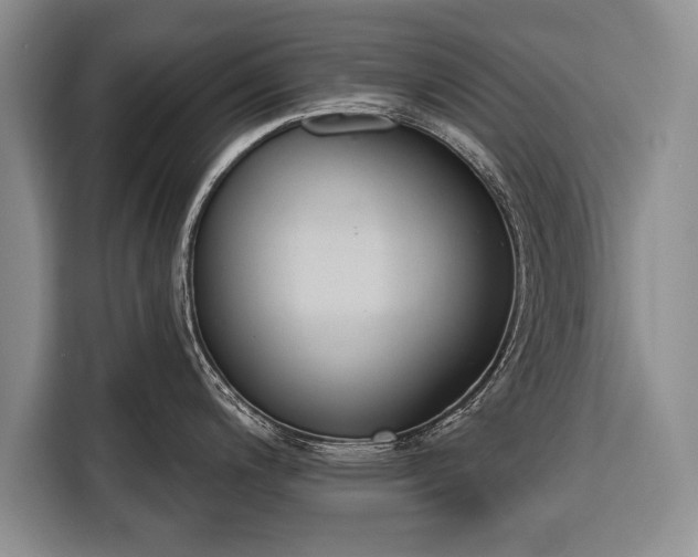 X0000116381200200912091408