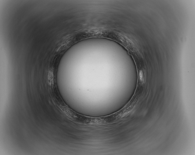 X0000116381203200912091408