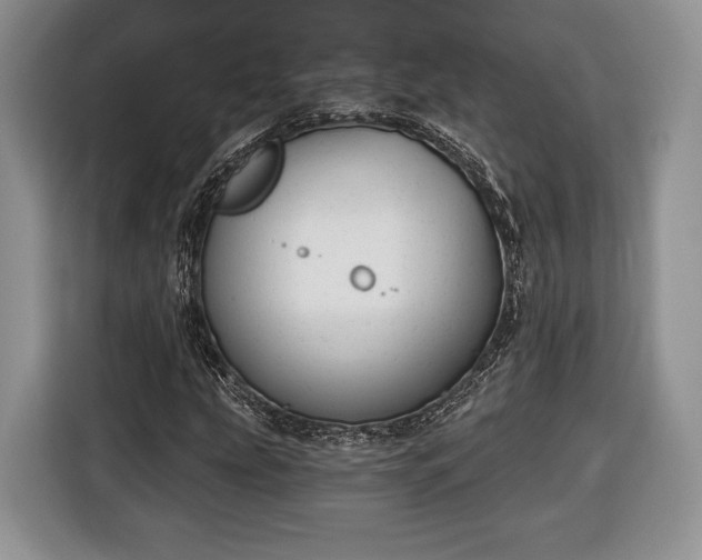 X0000116381207200912091408