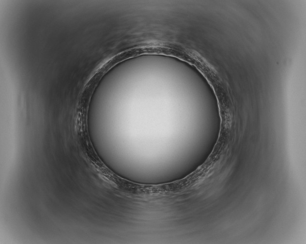 X0000116381208200912091408