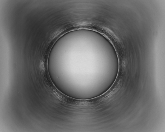 X0000116381209200912091408