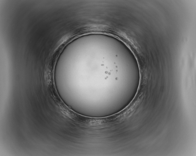 X0000116381211200912091408