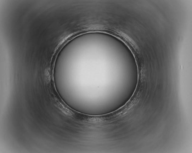 X0000116381212200912091408