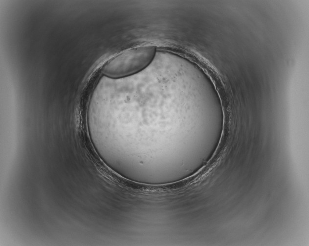 X0000116381215200912091408