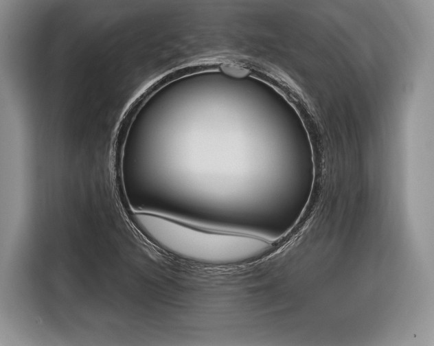 X0000116381216200912091408