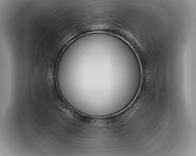 X0000116381217200912091408
