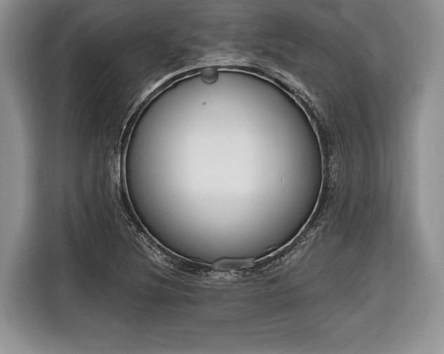 X0000116381220200912091408