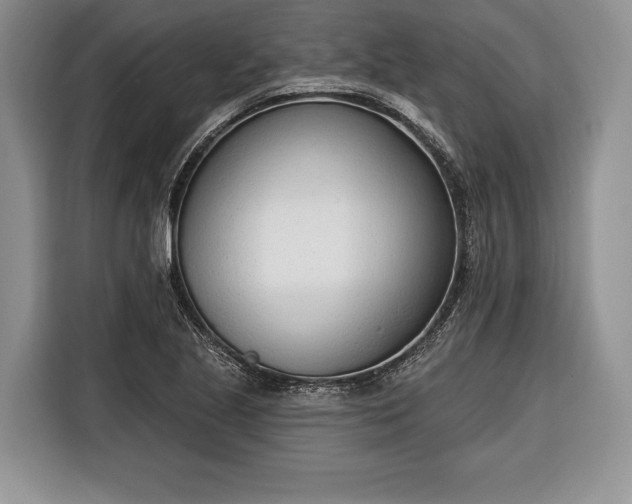 X0000116381221200912091408