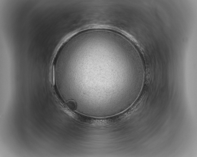 X0000116381223200912091408