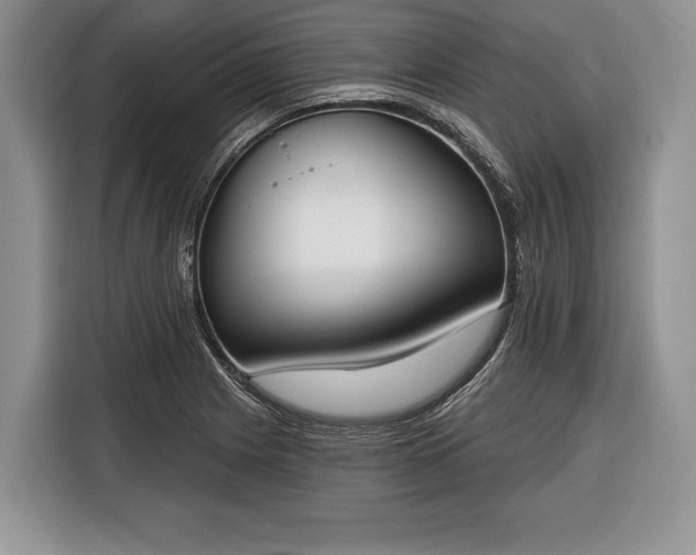 X0000116381225200912091408