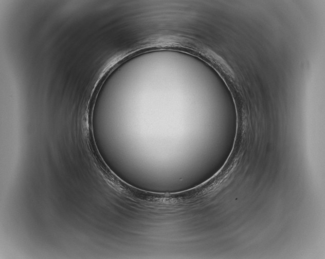 X0000116381226200912091408