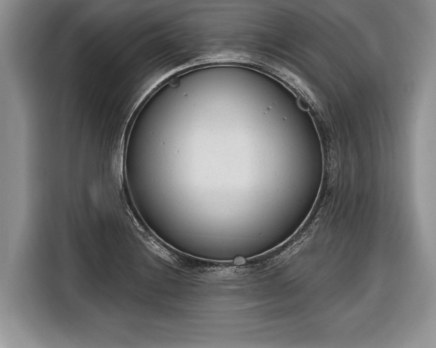 X0000116381228200912091408