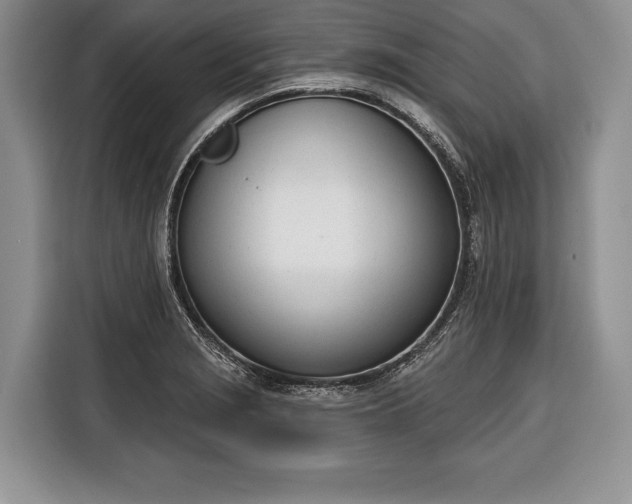 X0000116381229200912091408