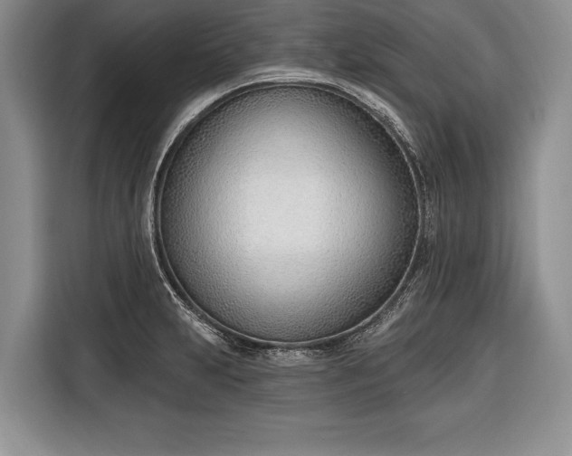 X0000116381231200912091408