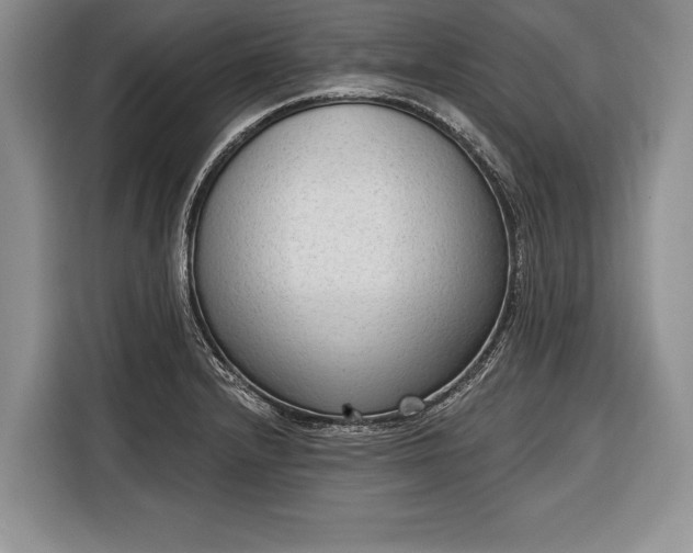 X0000116381232200912091408