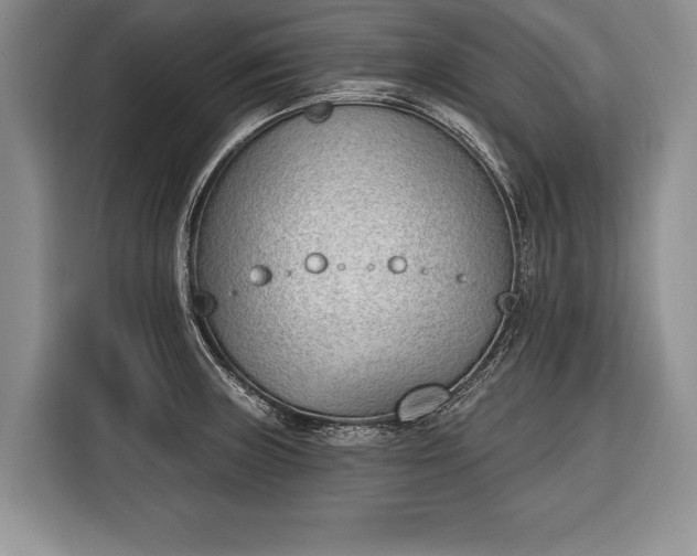 X0000116381235200912091408